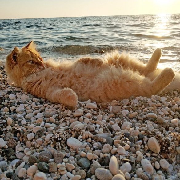 co-oznacza-anielska-liczba-333-i-jej-symbolika