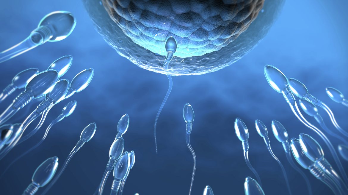 Startup Sperm Racing biotechnologia i rozrywka