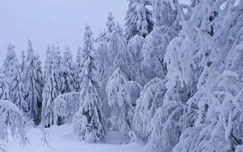 Prognoza pogody na luty 2026 w Polsce: temperatura, opady i święta zimowe