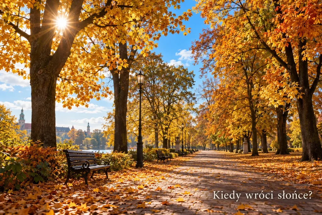 JESIENNY PARK W POLSCE, ZŁOTE LIŚCIE NA DRZEWACH I SŁONECZNA POGODA
